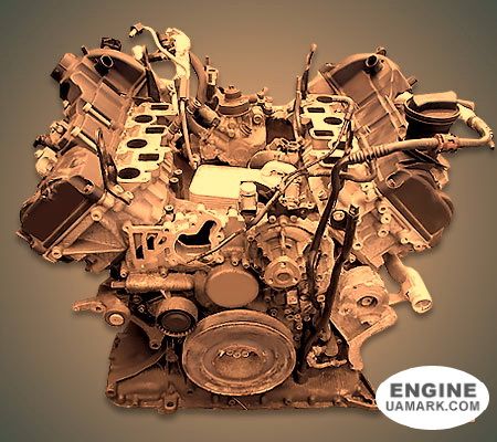 Двигун AUDI BUG