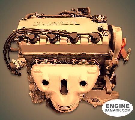 Двигун HONDA D13B