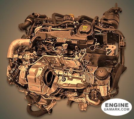 Двигун JAGUAR AJ21D4