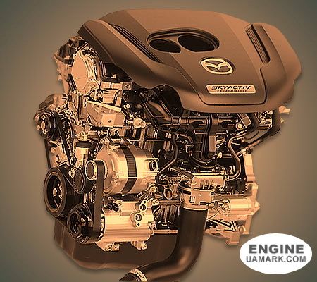 Двигун MAZDA PY-VPTS