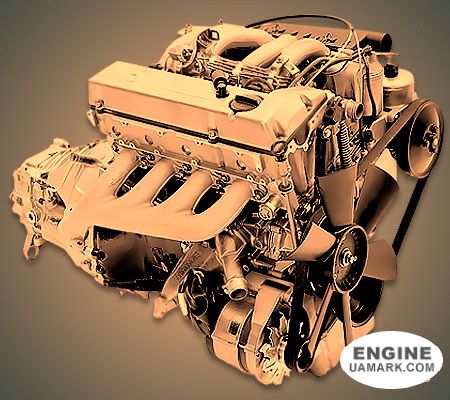 Двигун MERCEDES OM601