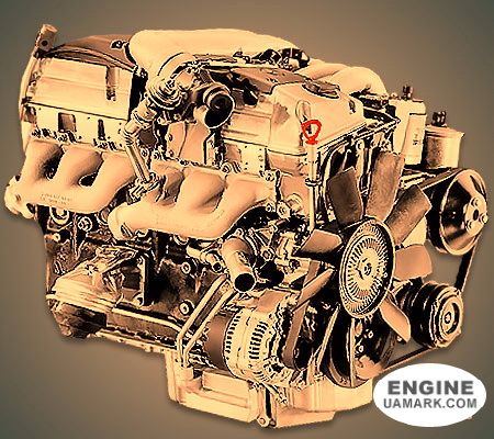 Двигун MERCEDES OM606