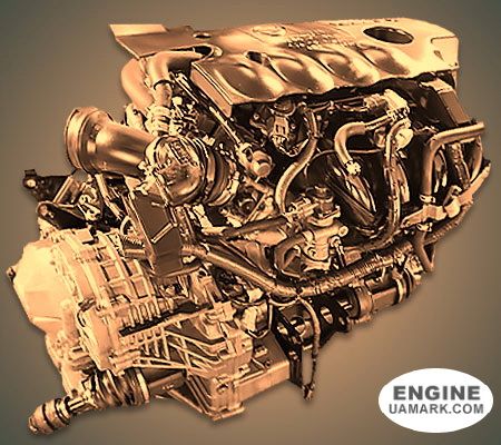 Двигун NISSAN QR25DD