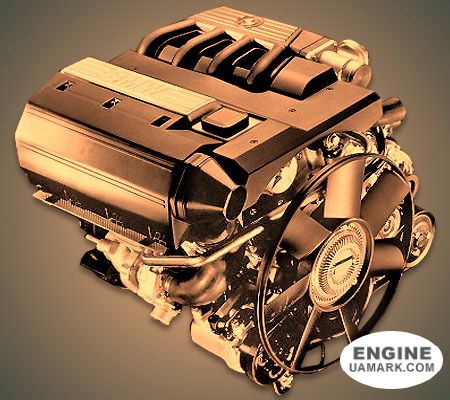 Двигун BMW M41