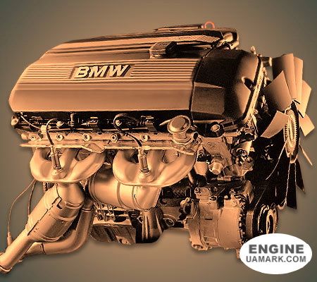 Двигун BMW M54