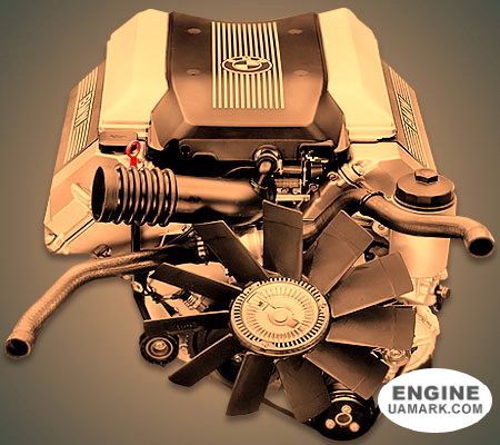 Двигун BMW M60