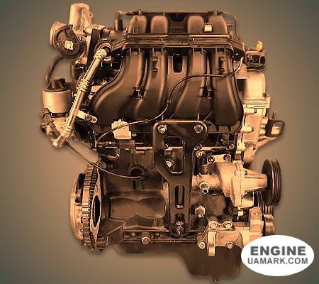 Двигун CHEVROLET B10D1