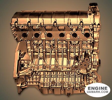Двигун CHEVROLET X25D1