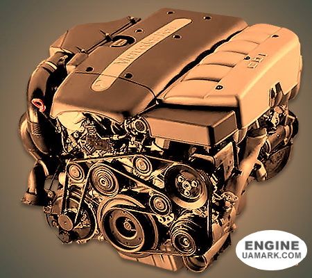 Двигун MERCEDES OM613