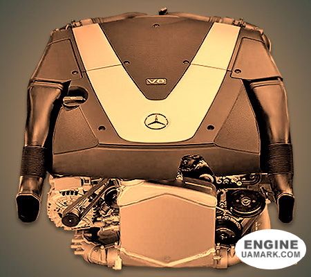 Двигун MERCEDES OM629